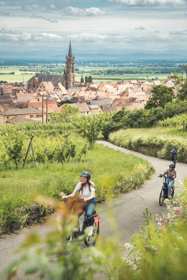 Picture 4 for Activity 2-hours bike tour with a local on the Alsatian Wine Road