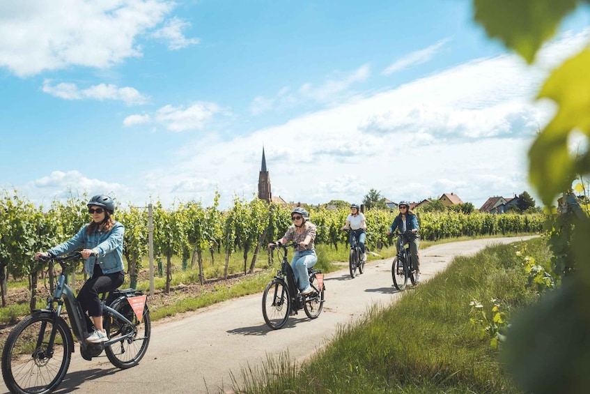 Picture 2 for Activity Sélestat: Bike Tour on the Alsatian Wine Road