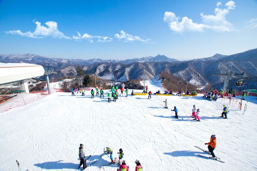 Picture 2 for Activity From Seoul: Elysian Gangchon Ski Tour with Nami Island