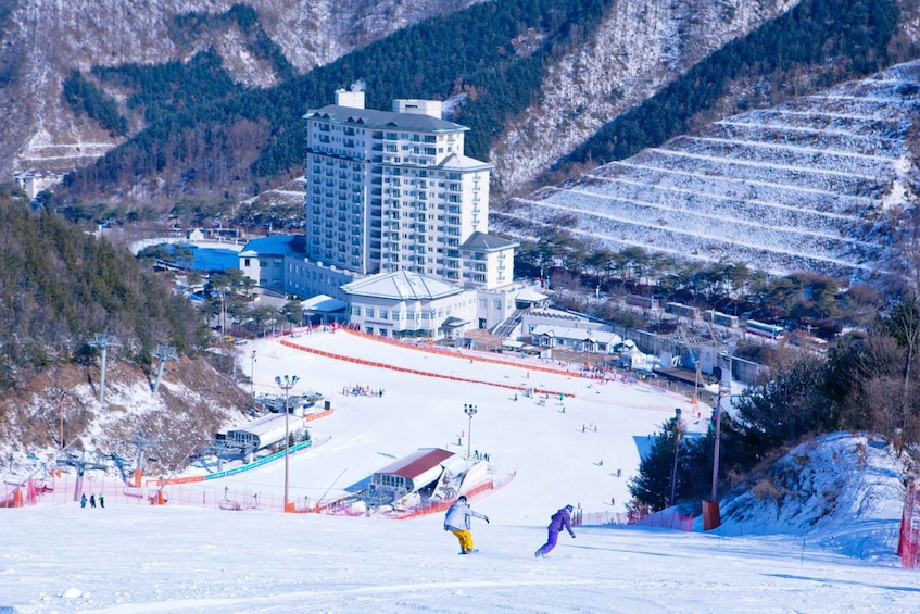 Picture 8 for Activity From Seoul: Elysian Gangchon Ski Tour with Nami Island