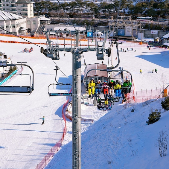 Picture 5 for Activity From Seoul: Elysian Gangchon Ski Tour with Nami Island