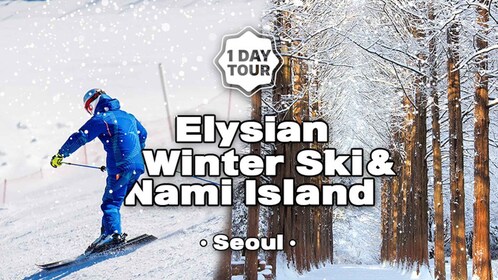 From Seoul: Elysian Gangchon Ski Tour with Nami Island