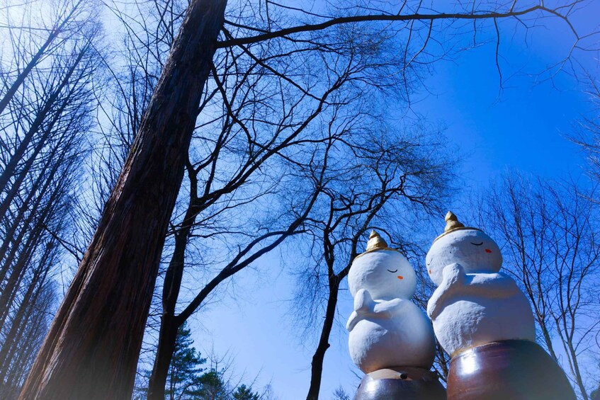 Picture 4 for Activity From Seoul: Elysian Gangchon Ski Tour with Nami Island