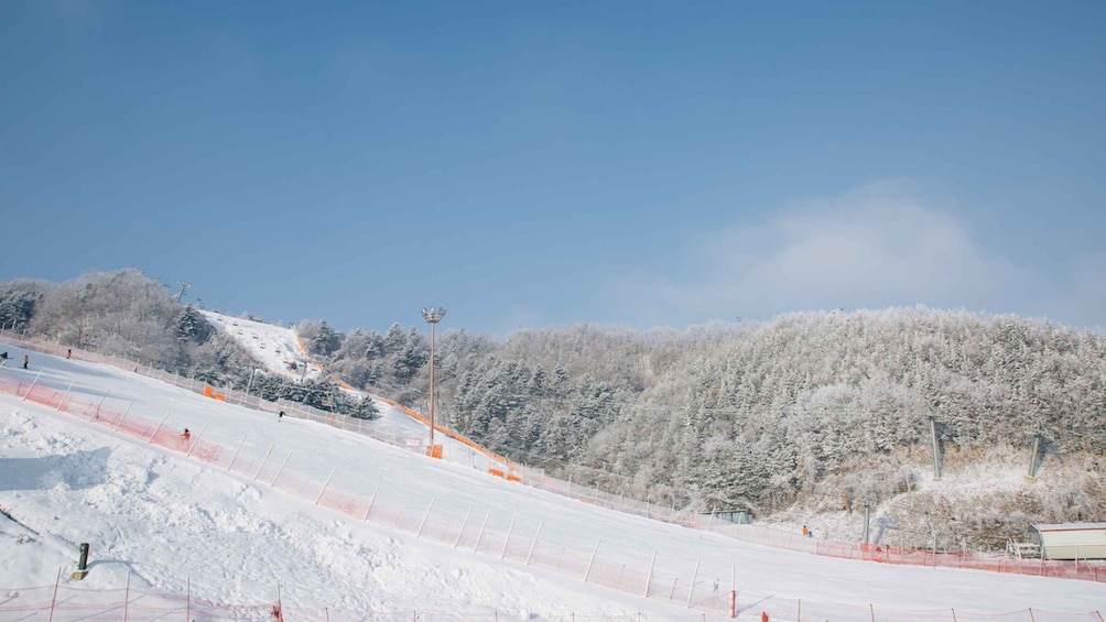 Picture 11 for Activity From Seoul: Elysian Gangchon Ski Tour with Nami Island