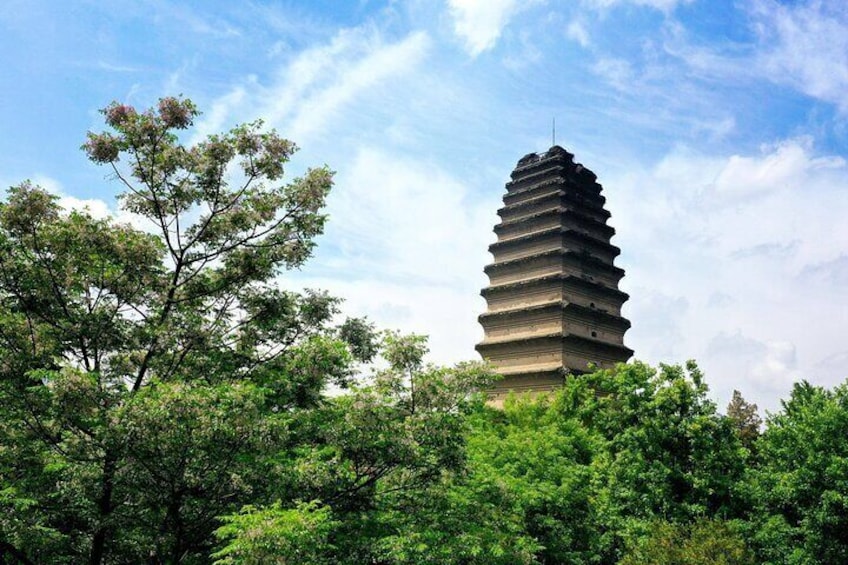 Xi'an Private Tour All Inclusive