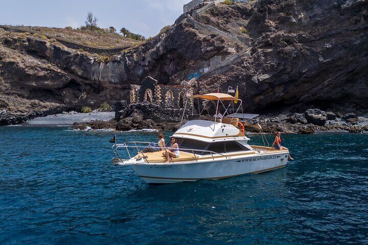 Whale watching and snorkelling in the whale sanctuary