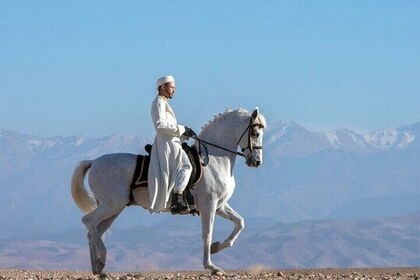 Discover Palmeraie Valley on a 2 Hours Horseback Ride - Marrakech