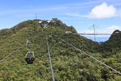 Langkawi Cable Car and Sky Bridge With Mangrove Private Boat