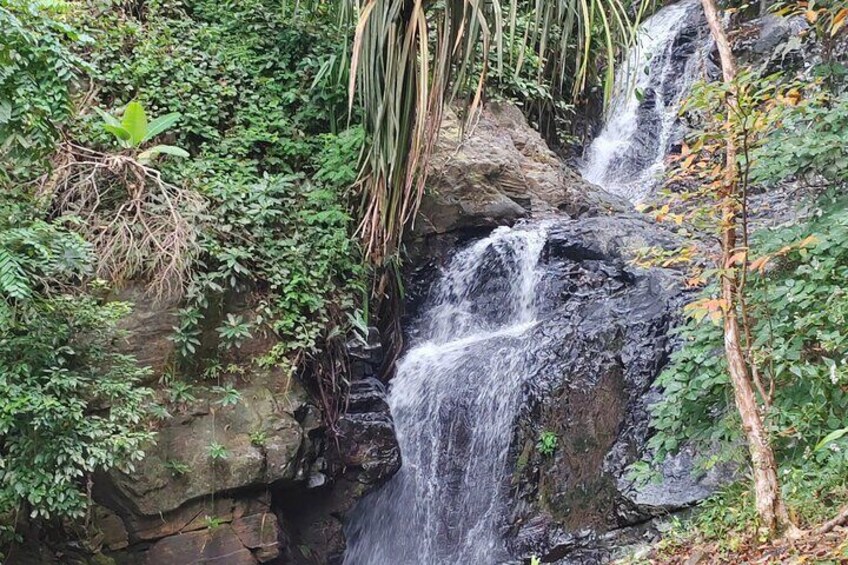 Langkawi ATV Adventure Ride with Ziplines And Waterfall 