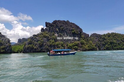 Sharing Half Day Mangrove Boat Tour Langkawi at Kilim Geoforest