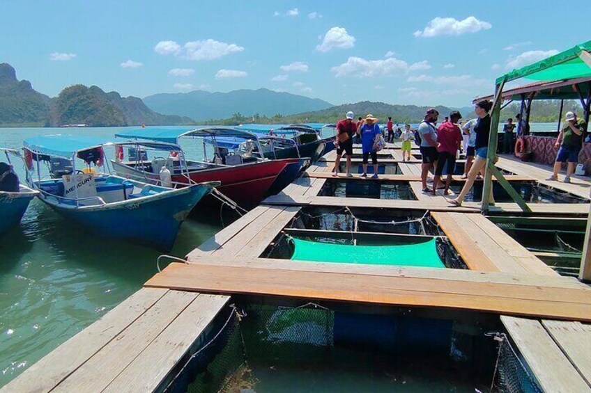 Sharing Half Day Mangrove Boat Tour Langkawi at Kilim Geoforest 