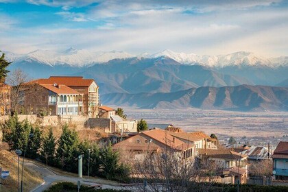 Kakheti's Cultural Tapestry with Wine, History & Charm Tour