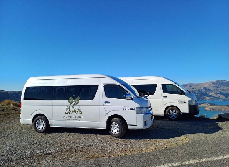 Picture 5 for Activity Lyttelton: Shore Excursion, Castle Hill & Inland Canterbury