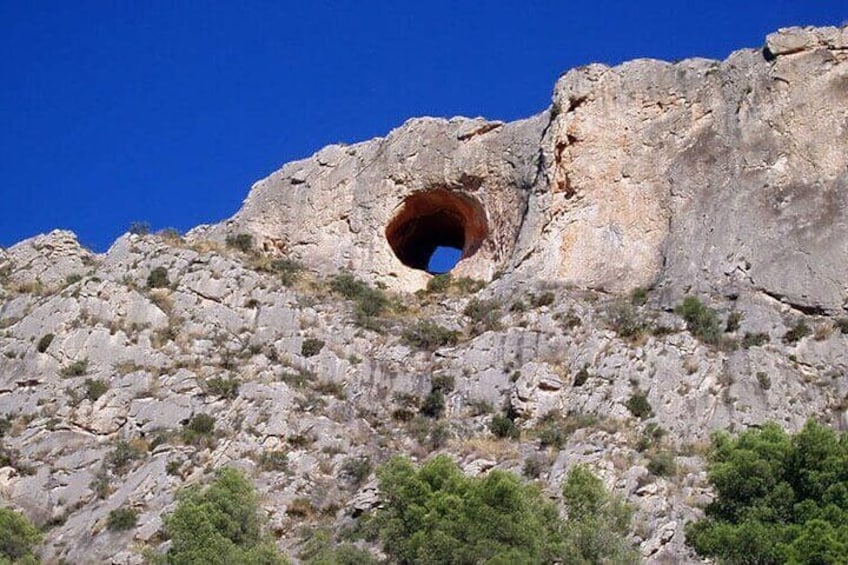 Guided Tour to Canelobre Cave with Transportation Included