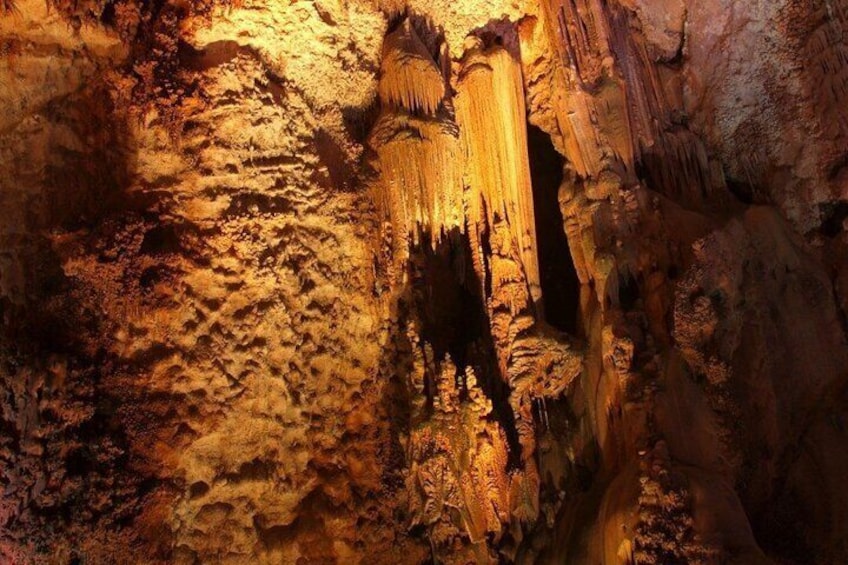 Guided Tour to Canelobre Cave with Transportation Included