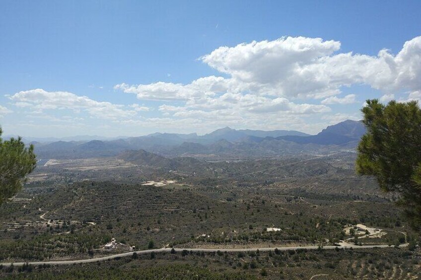 Guided Tour to Canelobre Cave with Transportation Included