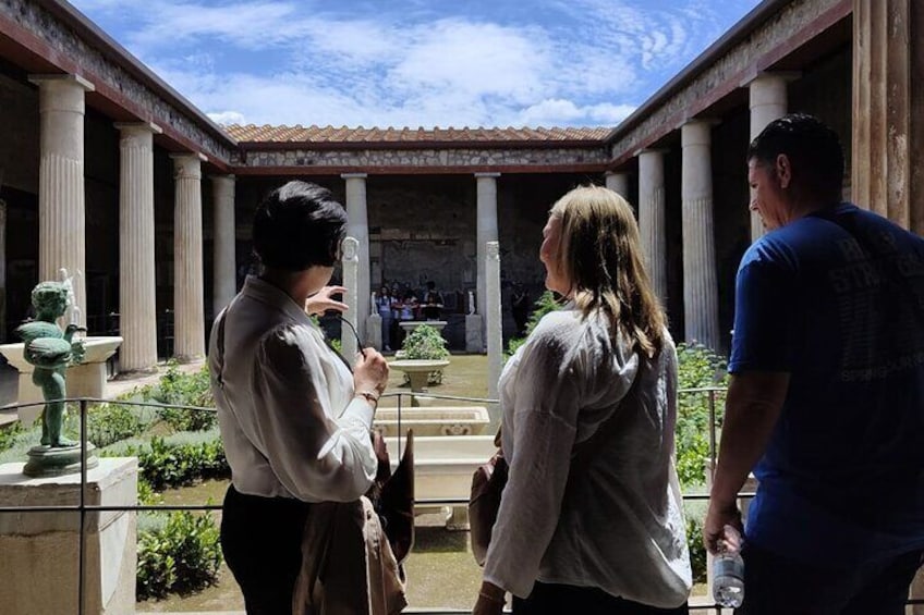 Private Guided Tour of Pompeii Excavations