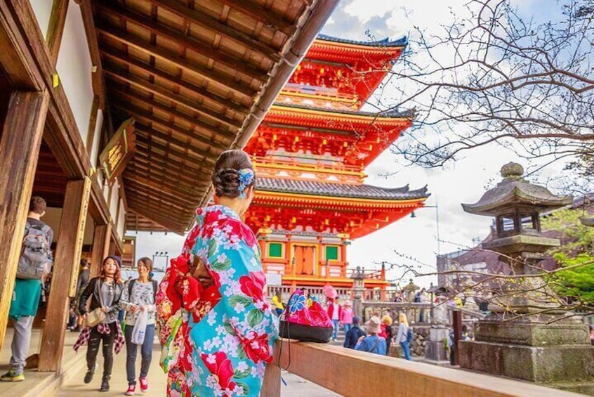 Kyoto and Nara UNESCO Highlights Full-day Tour From Osaka