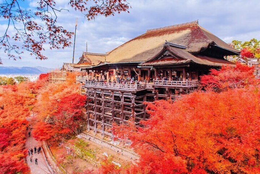 Kyoto and Nara UNESCO Highlights Full-day Tour From Osaka