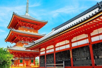 Kyoto and Nara UNESCO Highlights Full-day Tour From Osaka