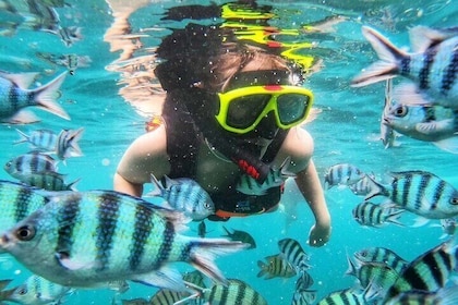 Discover Five Islands on a Snorkeling Adventure from Ko Samet