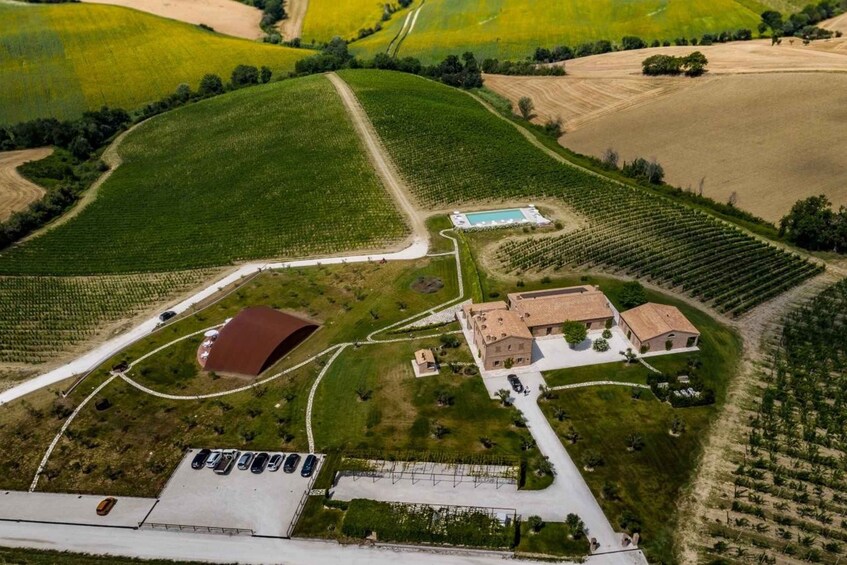 Wine tasting at Filodivino winery, in the heart of Marche