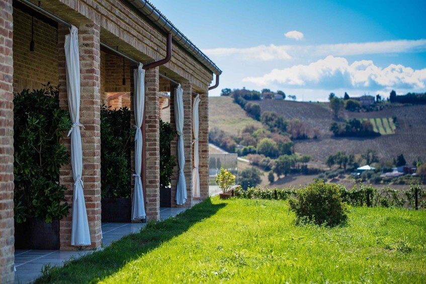 Picture 9 for Activity Wine tasting at Filodivino winery, in the heart of Marche