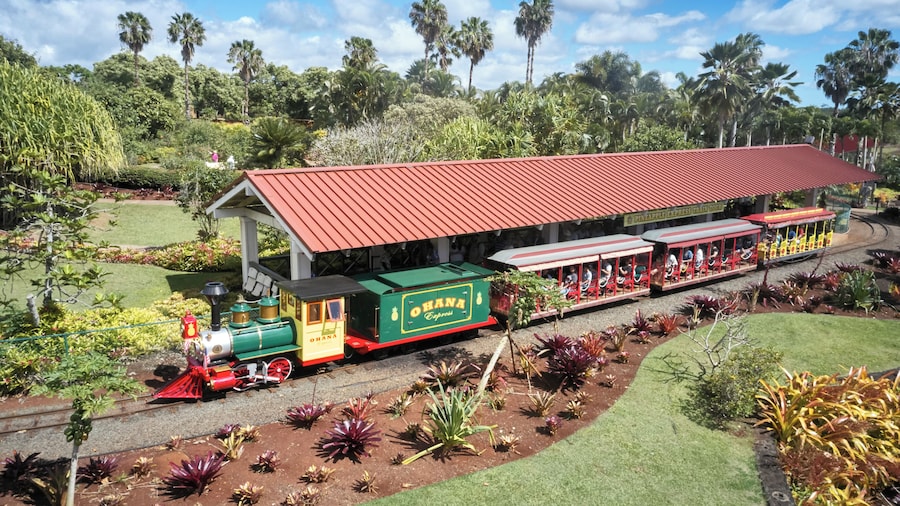 Haleiwa Express & Dole Plantation