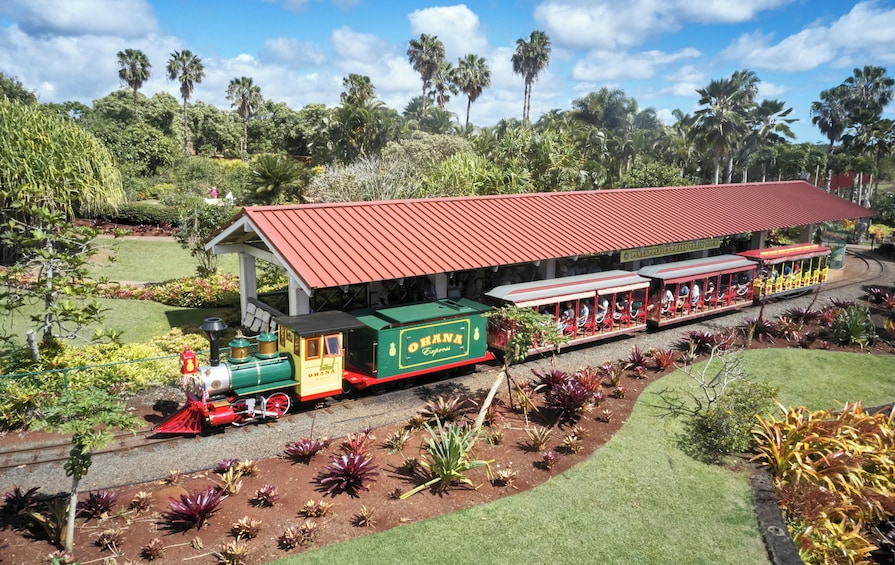 Haleiwa Express & Dole Plantation