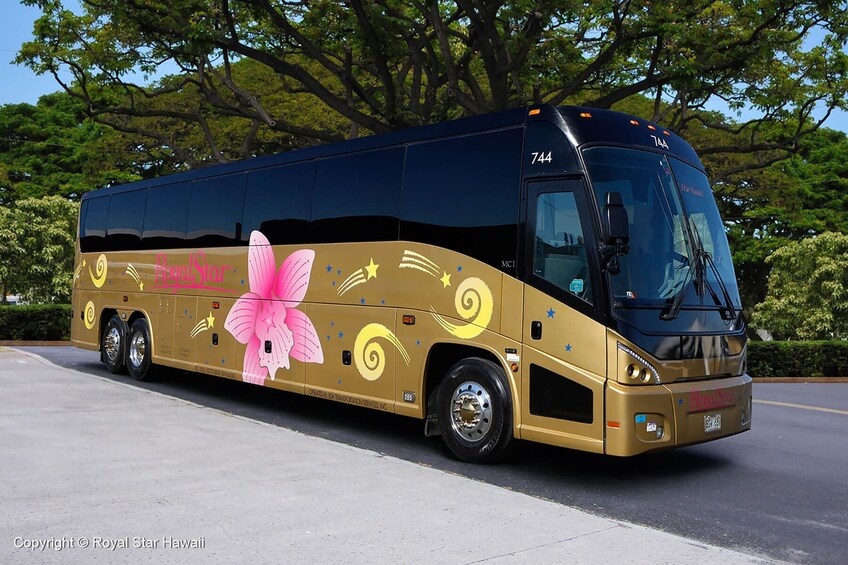 Haleiwa Express & Dole Plantation