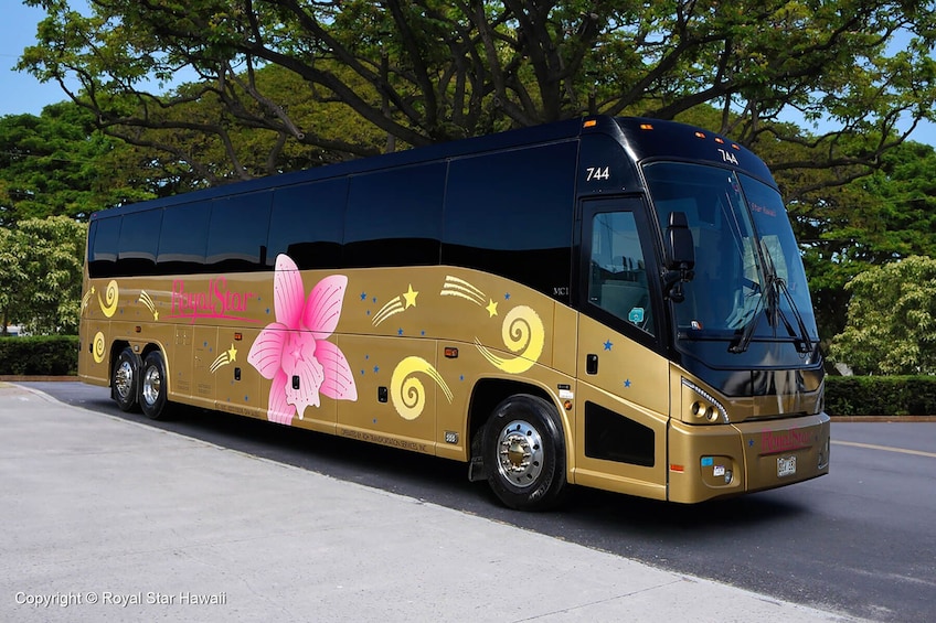 Haleiwa Express & Dole Plantation