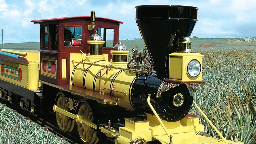 Haleiwa Express & Dole Plantation