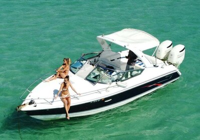 Miami: Power Boat and Sandbar Tour All Included