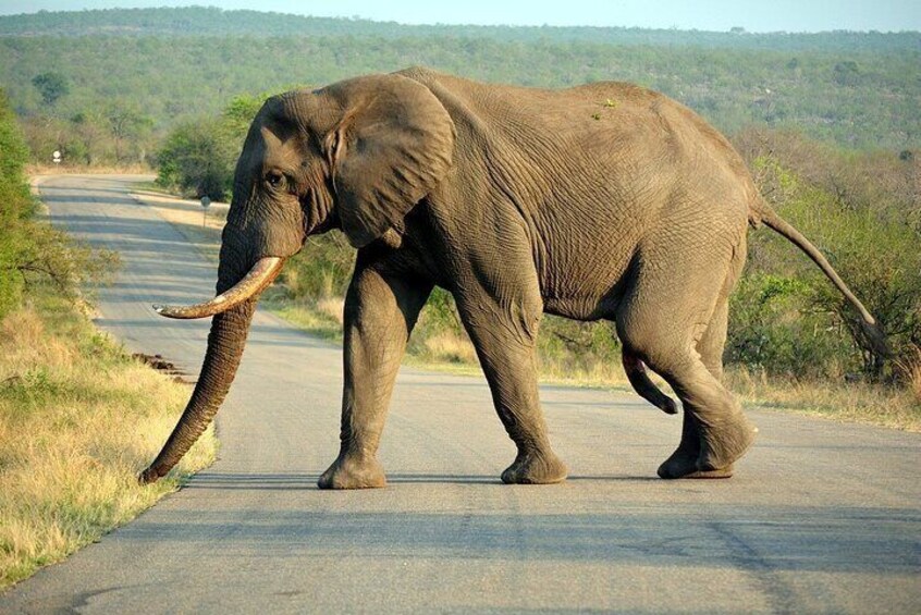 Kruger National Park