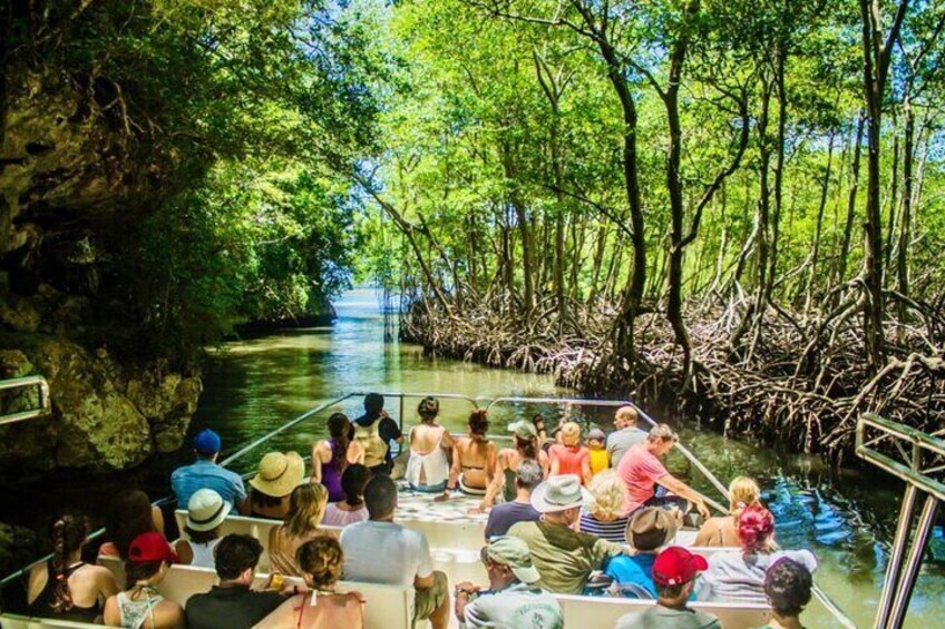 Los Haitises N. Park, Yanigua Waterfall & Montaña Redonda Tour