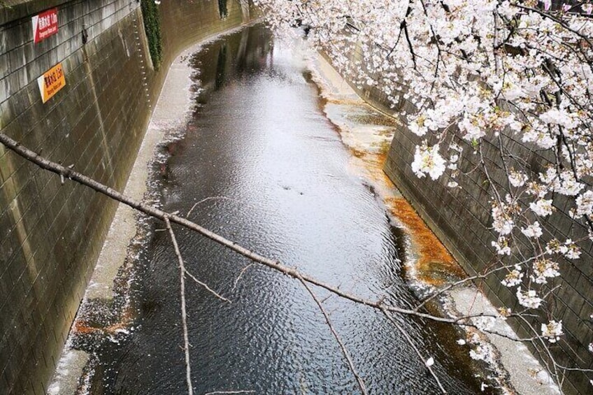 Tokyo Art and Culture Tour