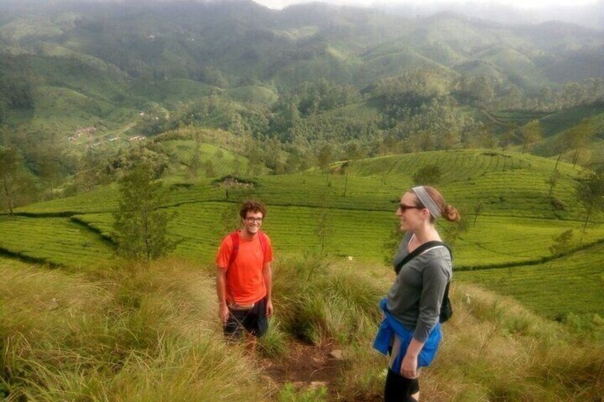 Munnar Tea Plantation Evening walking with Sunset View