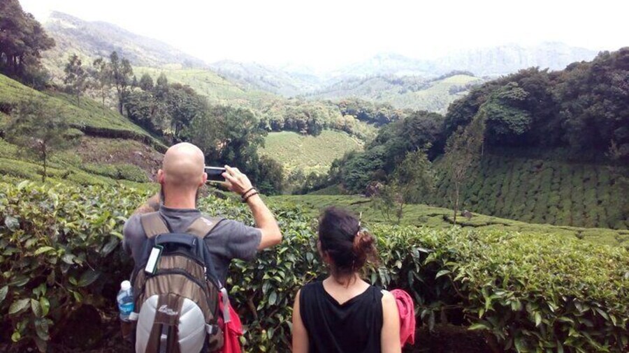 Munnar Tea Plantation Evening walking with Sunset View