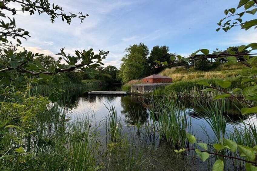 Bird Watching Private Tour in Copenhagen