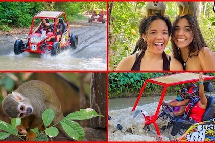 Land of Monkeys Plus quad bike 4x4 Buggies Adventure in Puerto Plata