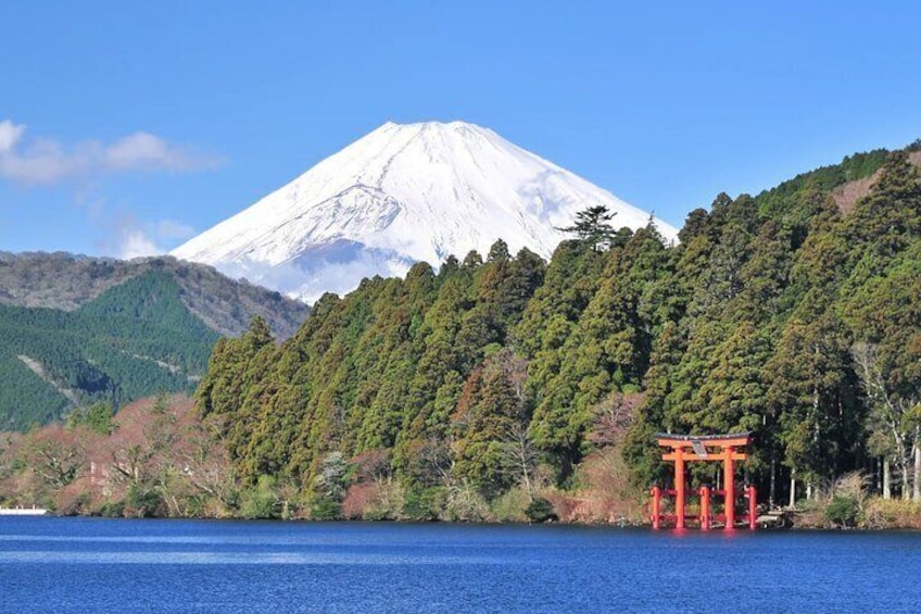 Mt. Fuji Hakone Ropeway and Oshino Hakkai Day Tour