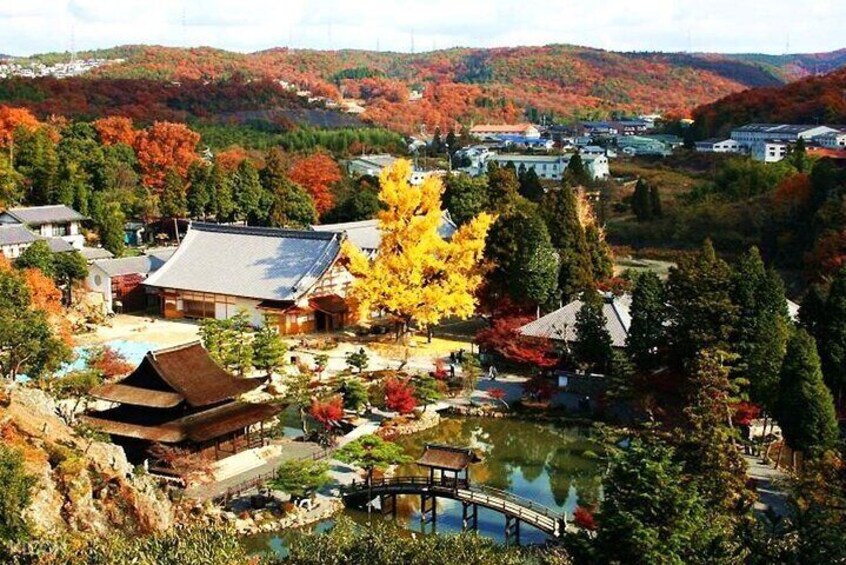 Torokei Mountain, Eihoji Temple & Korankei Day Tour