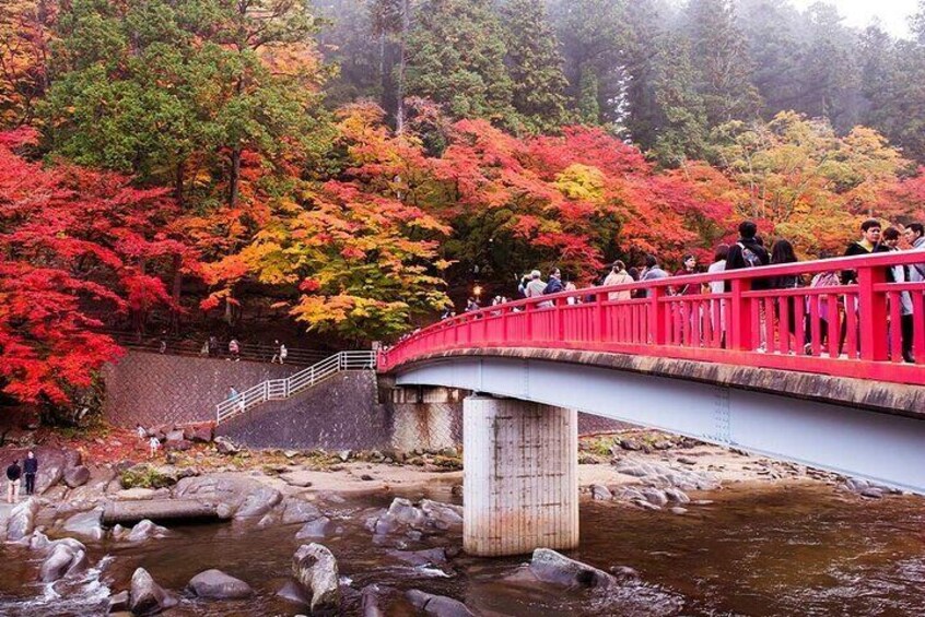 Torokei Mountain, Eihoji Temple & Korankei Day Tour