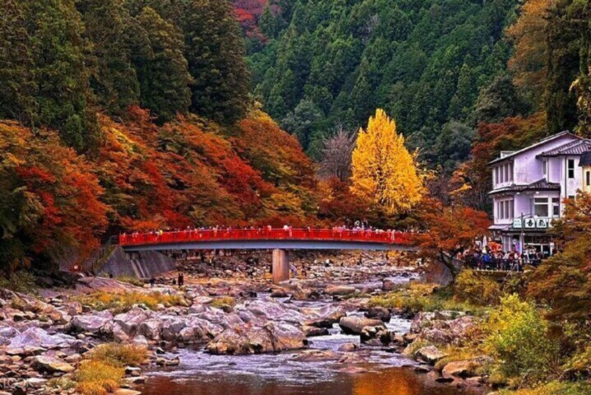 Torokei Mountain, Eihoji Temple & Korankei Day Tour