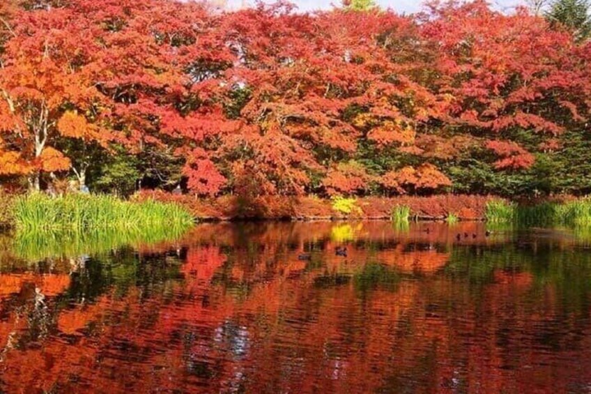 Tokyo Karuizawa, Hoshino Resorts Area, Glacier Shrine Day Tour