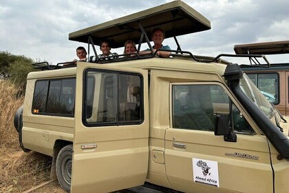 9 Day Serengeti Migration and Ngorongoro Crater Private Tour