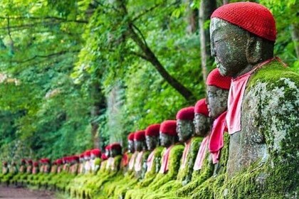 One Day Private Tour Nikko Tochigi by Car