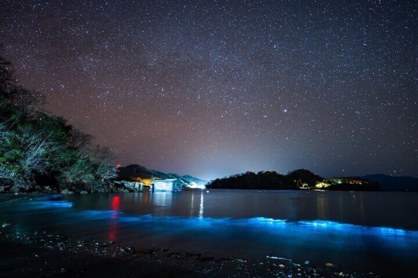 Bioluminescence Tour, Speedboat, Camping From Puntarenas