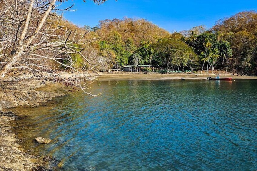 Bioluminescence Tour, Speedboat, Camping From Puntarenas