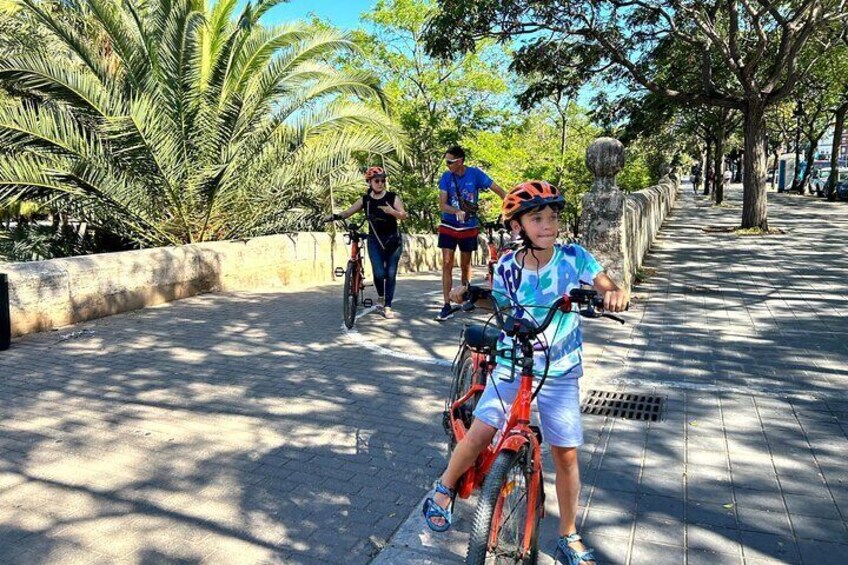 Valencia City Highlights in Guided Bike or E-Bike Tour